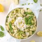 Pasta Shells